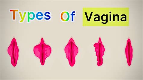 vajina|Vagina 